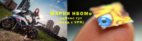стаф Баксан